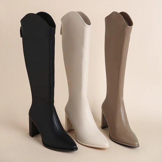 Plus Size 34-43 New Women Boots Zipper Thick High Heels Simple Thick High Heels Autumn Winter Boots Knee High Botas